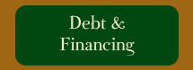 Debt and Financing